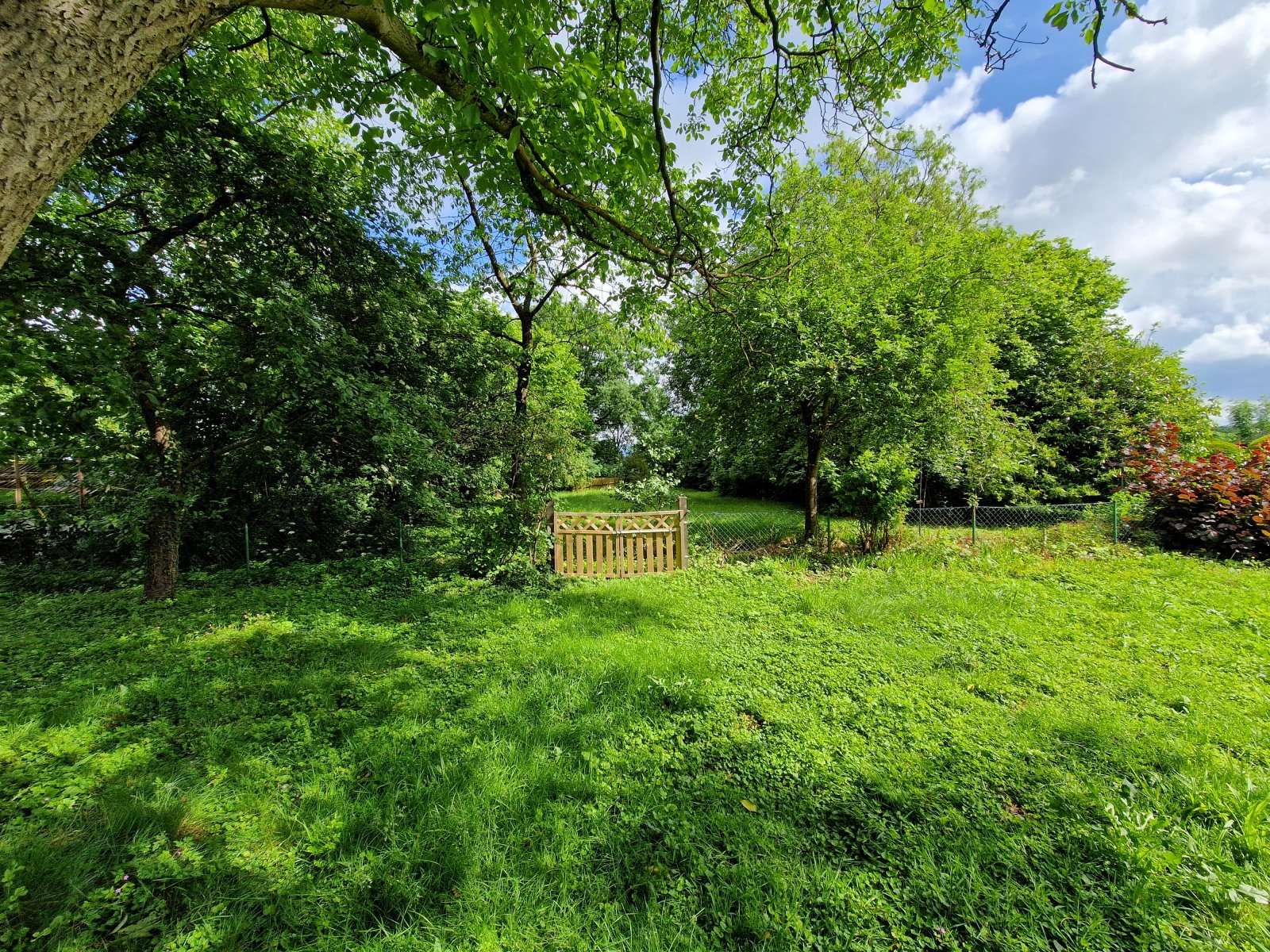 Blick in den Garten