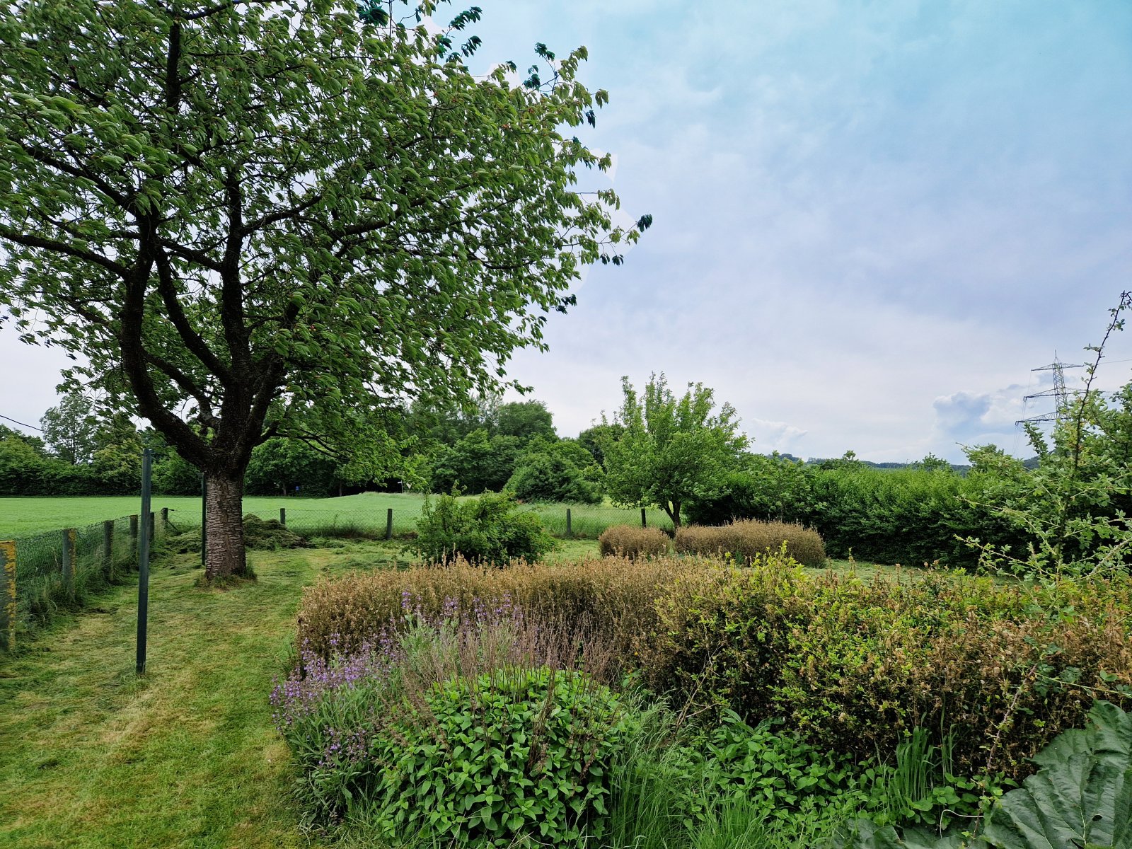 Blick in den Garten