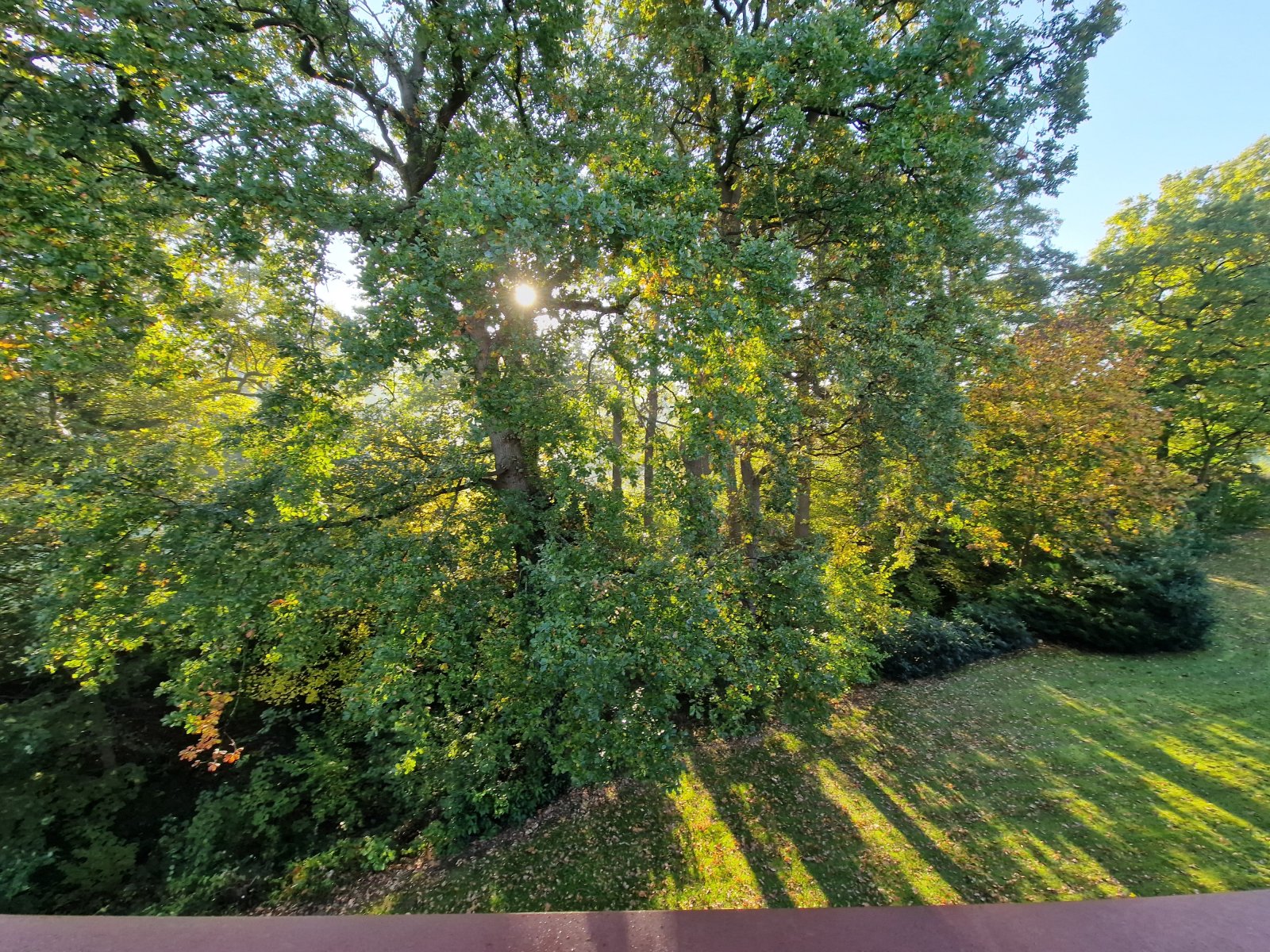 Blick von der Terrasse